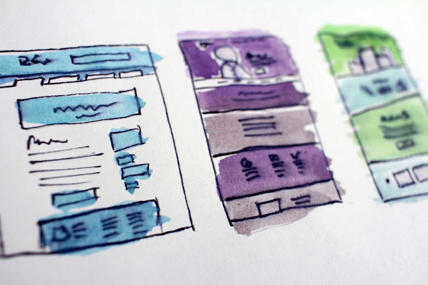 Exploring Themes and Plugins Effectively